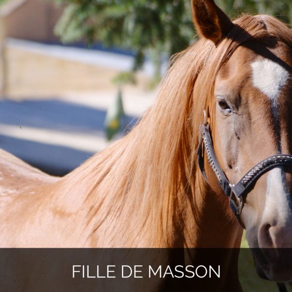 Fille de Masson