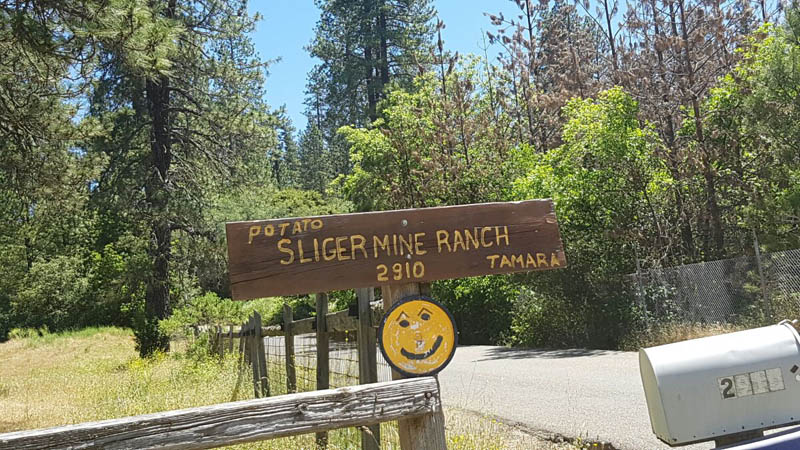 Sliger Mine Ranch7