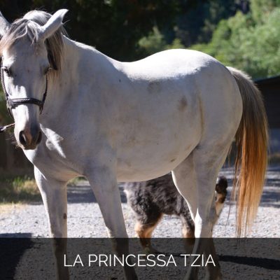 La Princessa Tzia